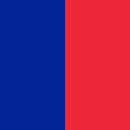 City flag
