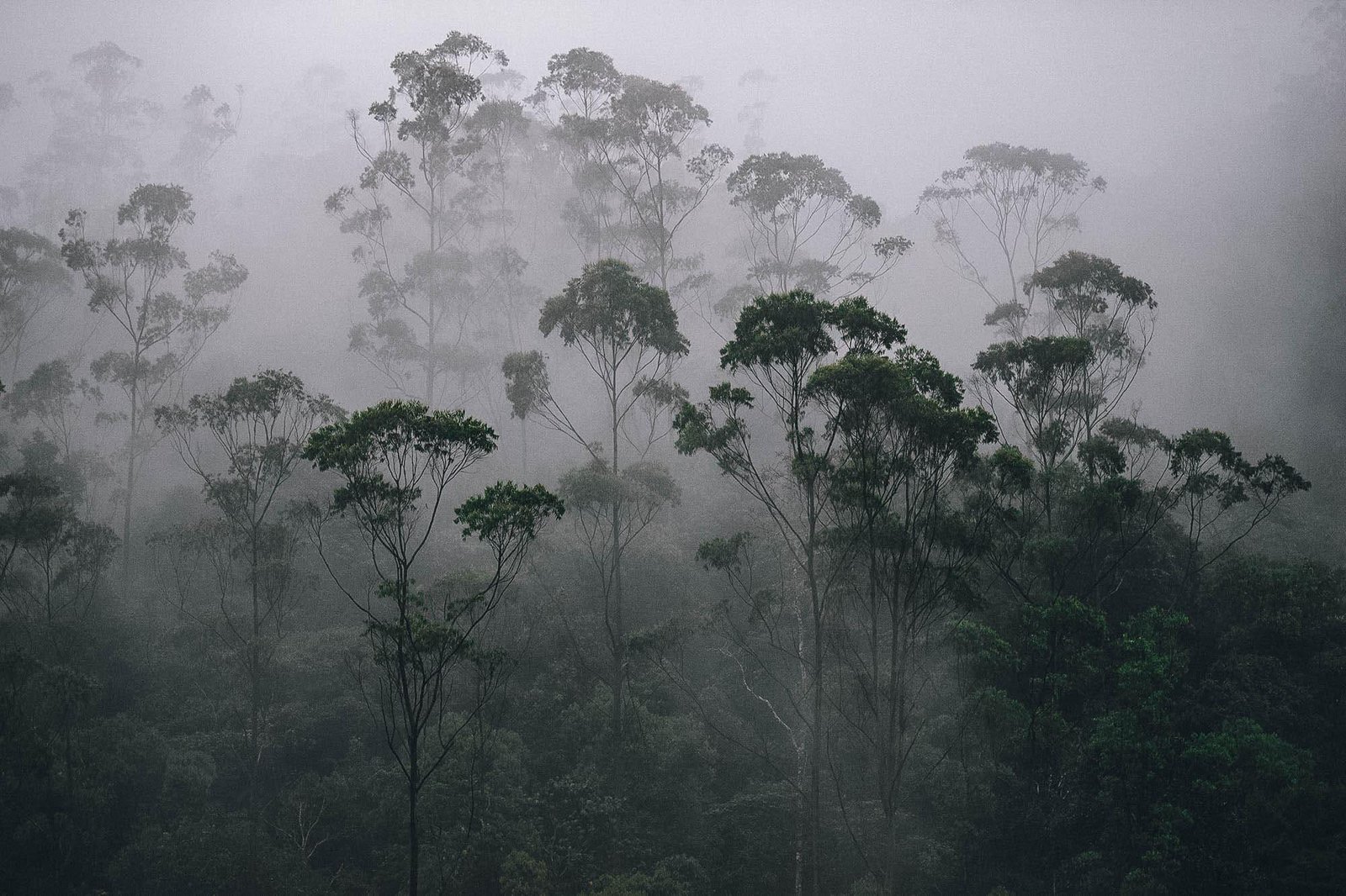 Understanding the ‌Monsoon Season: Weather Challenges​ and Travel Disruptions