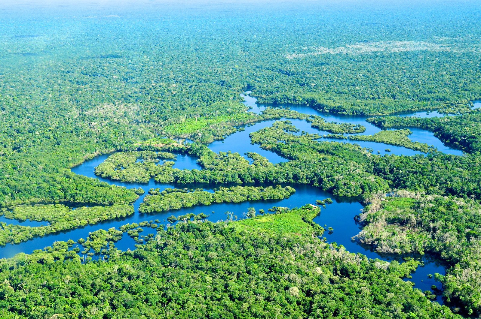 - Ideal Time⁣ to Experience‌ the Amazon Rainforest in Full⁤ Bloom