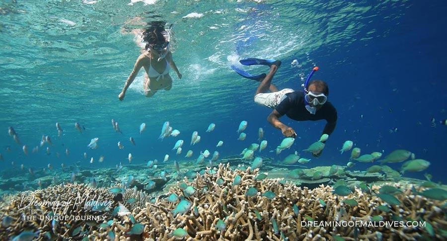 Ideal Times for Snorkeling in Maldives