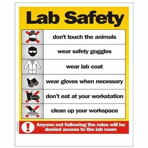 Heading‍ 1: Safety​ Precautions to take While Travelling in kenya