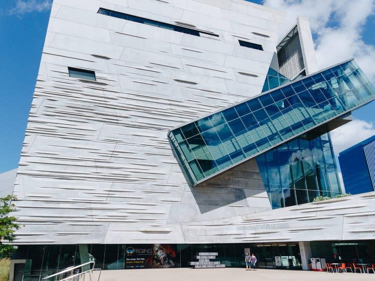 Top dallas museums to visit – must-see exhibits