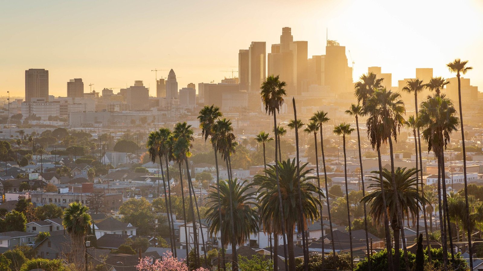 Reasons to Visit Los Angeles California – Top Attractions