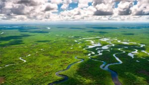 How to visit the Everglades from Miami – Essential Tips