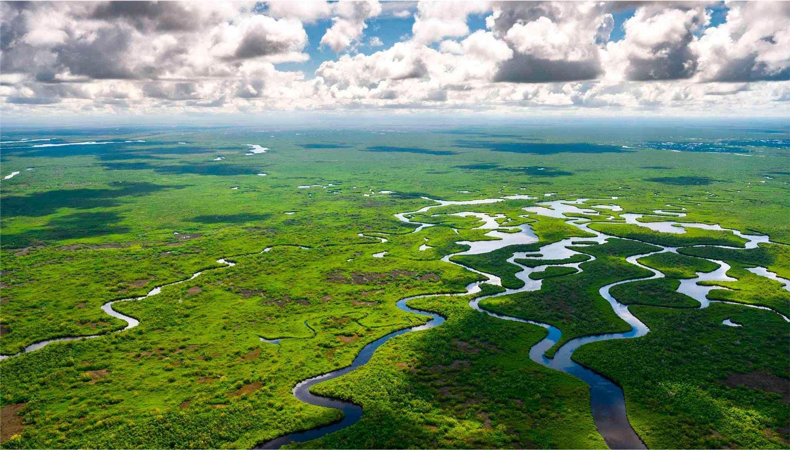 How to visit the Everglades from Miami – Essential Tips