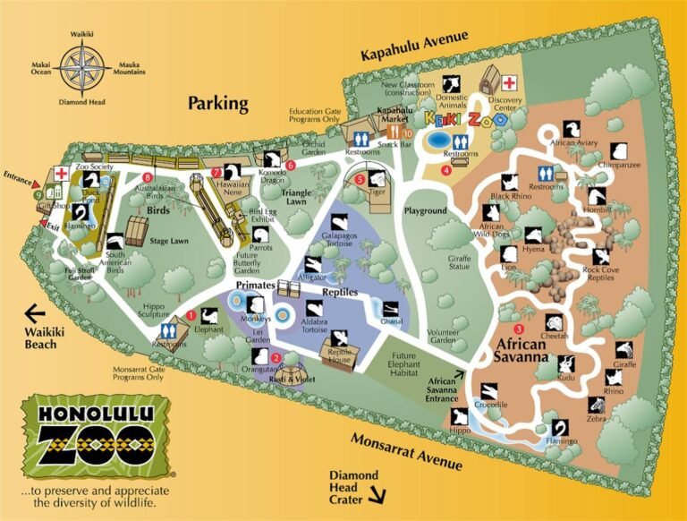 Best time to visit honolulu zoo – when to go