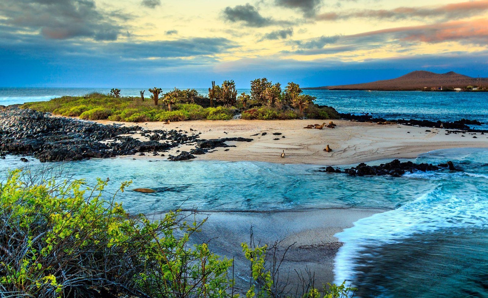Understanding the Costs of a Galapagos Islands Visit