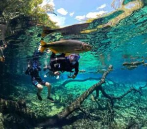 Best Time to Visit Bonito Brazil – Ideal Seasons