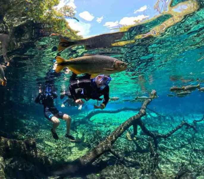 Best Time to Visit Bonito Brazil – Ideal Seasons