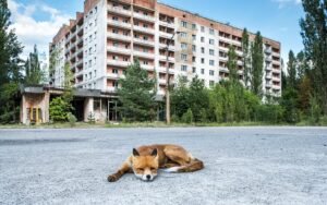 Is it Dangerous to Visit Pripyat? – Safety Tips