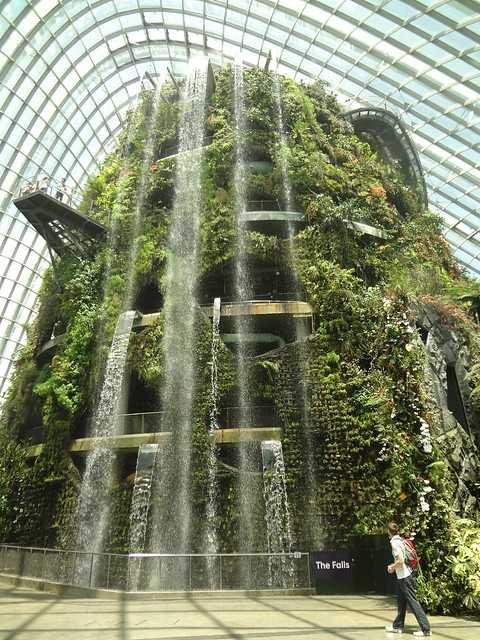 Ideal Seasons for Visiting Cloud Forest Singapore