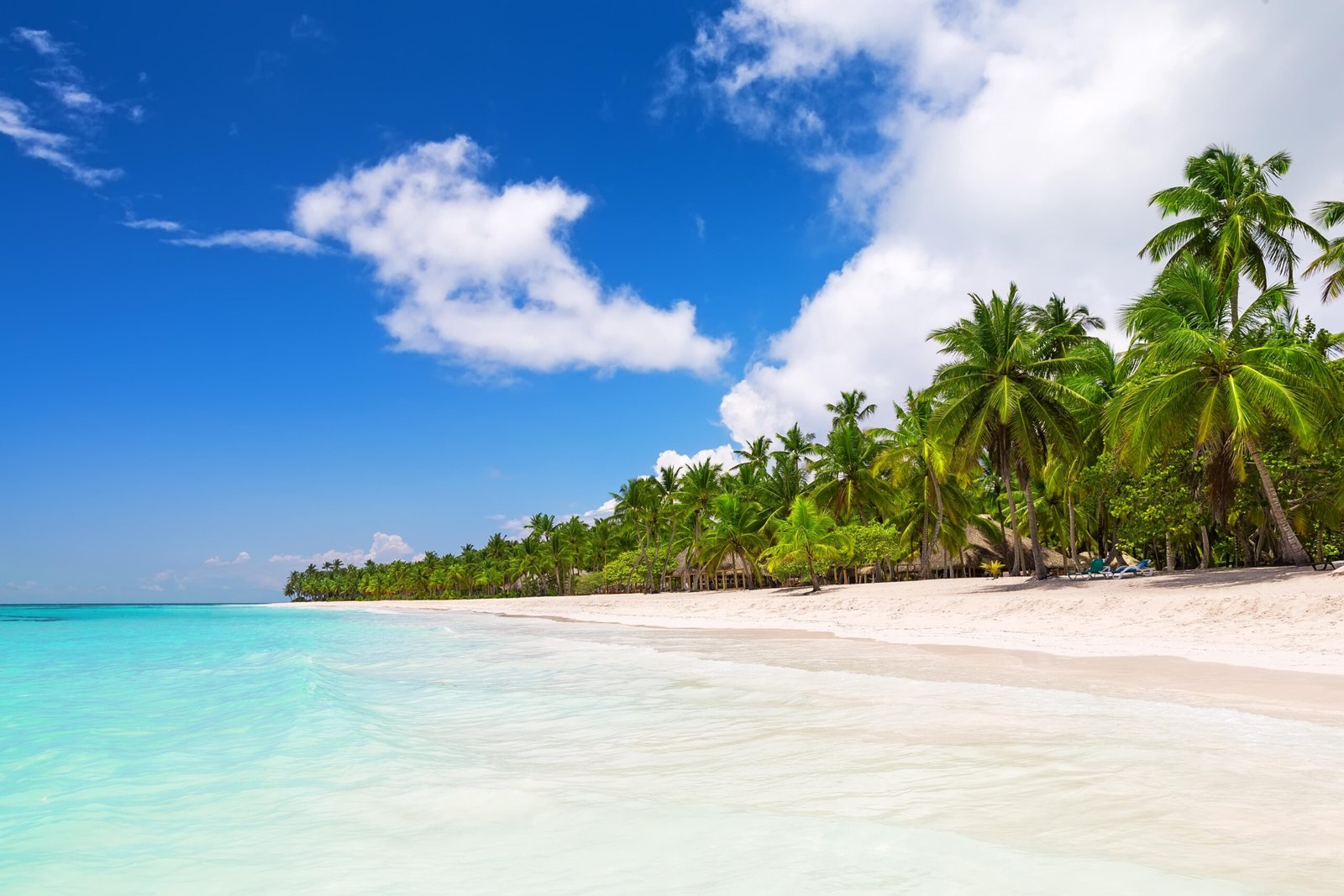 Best time to visit Punta Cana for a seaweed-free getaway