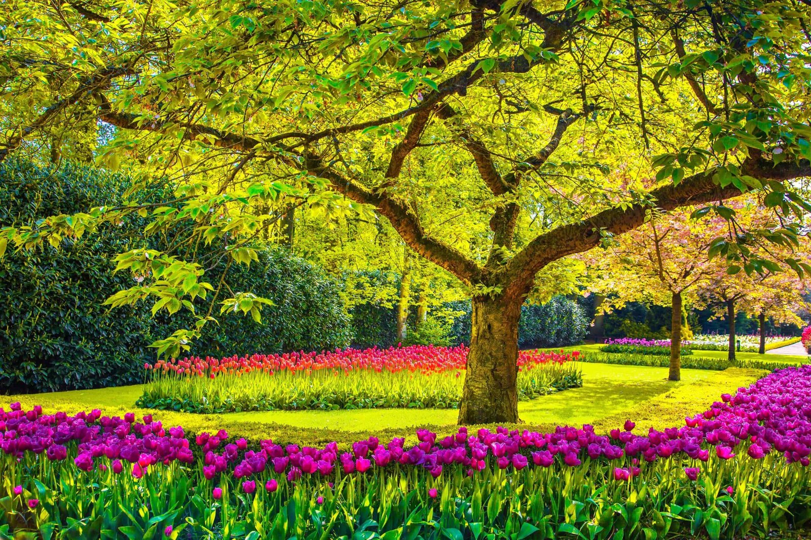 Discover the Best Gardens to Visit in New Jersey This Season