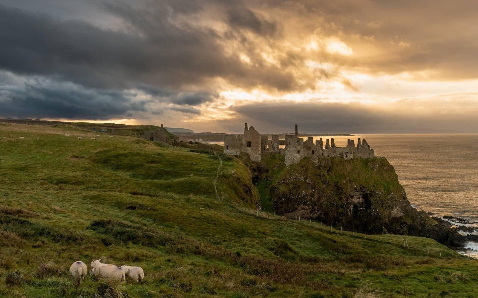 Is November a Good Time to Visit Ireland? Here’s What to Know