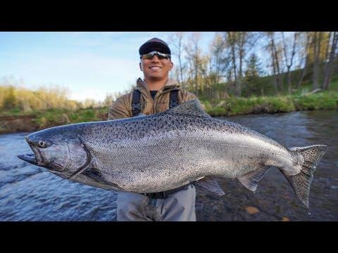 Best time to visit Alaska for fishing: a seasonal guide