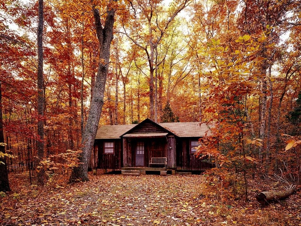 Enchanting fall getaways: Best places to visit in West Virginia