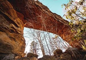 Where to Stay When Visiting Red River Gorge: Your Guide