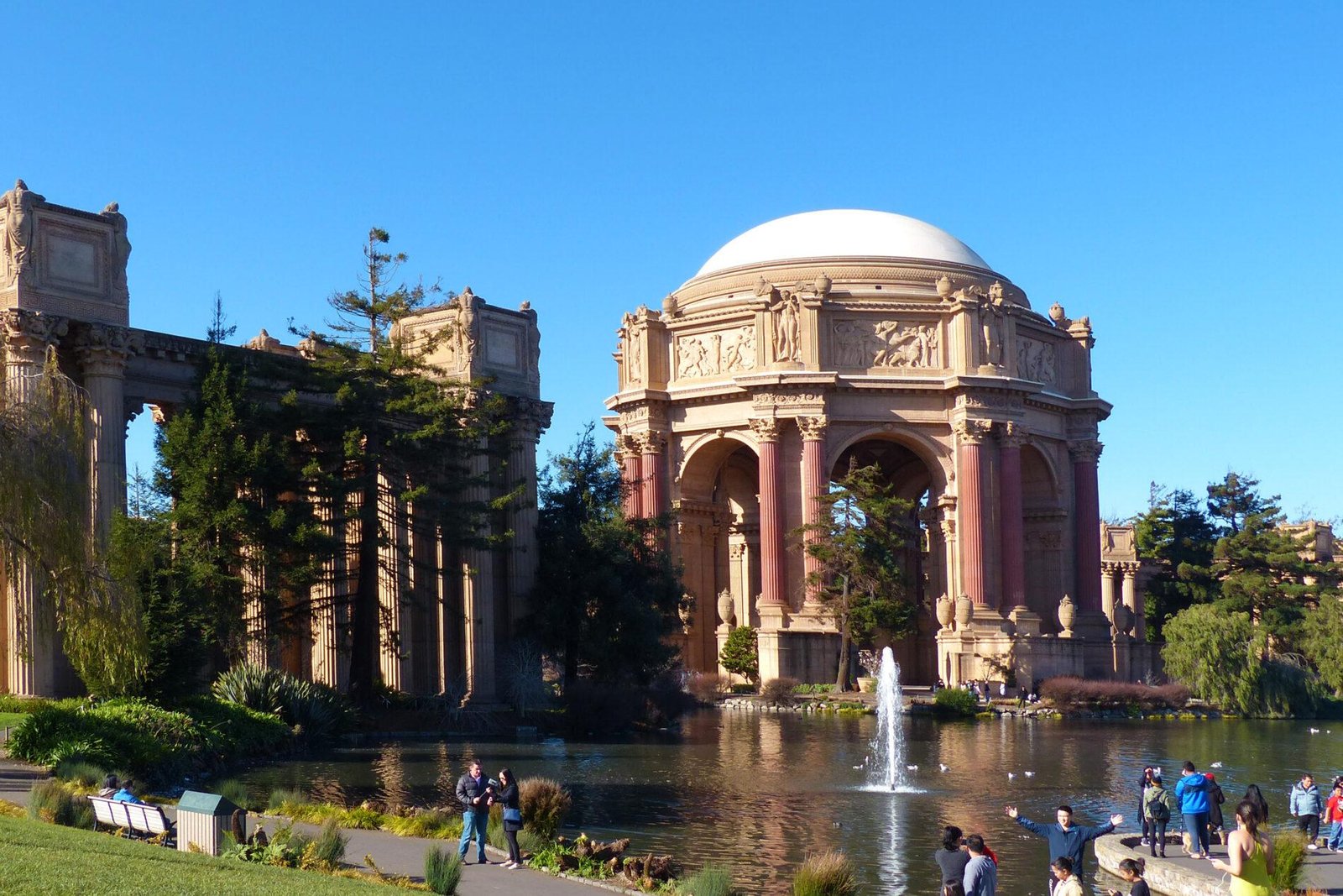 Discover serene san francisco gardens to visit and unwind