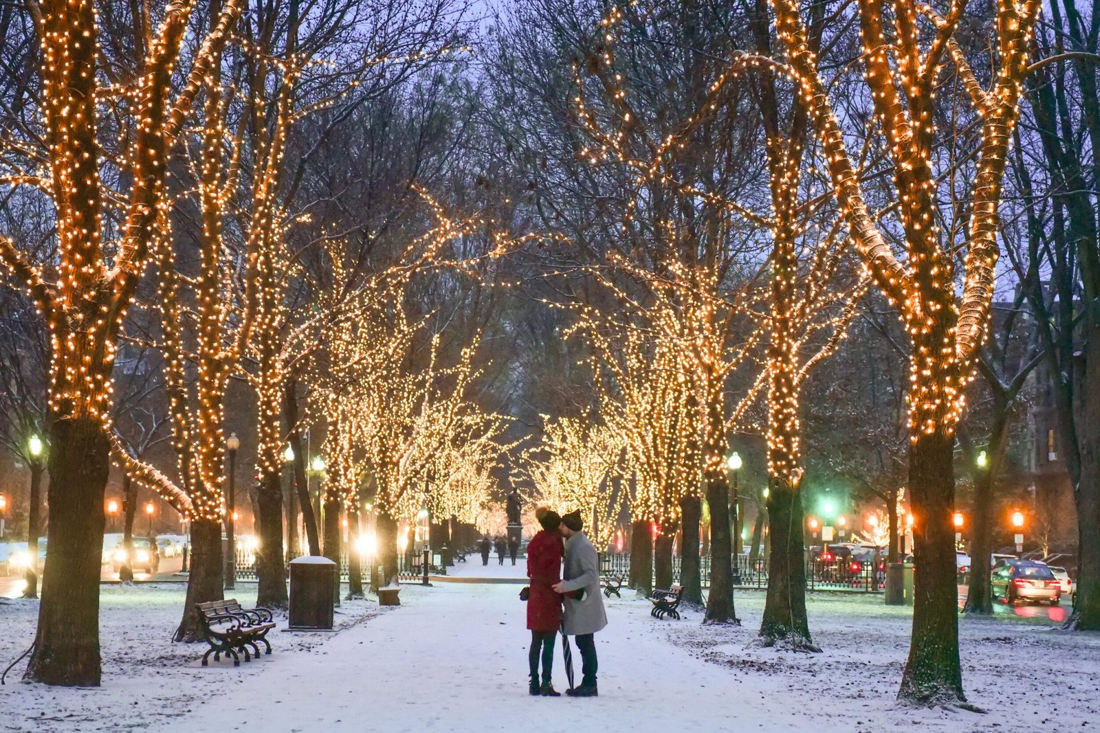 Charming winter spots to explore in Boston’s cold season