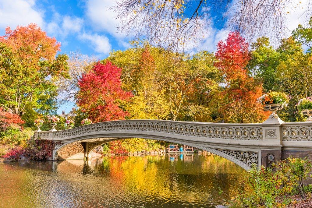 When to ‍Experience Breathtaking‍ fall ⁢Foliage⁣ in Denver