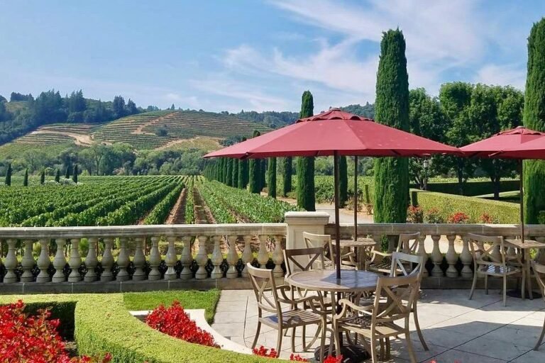 Wineries to Explore in Priorat – Top Choices