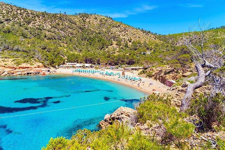 Best beaches to visit in Ibiza – Crystal Clear Waters