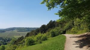 Top Attractions in Surrey England – Must-See Places