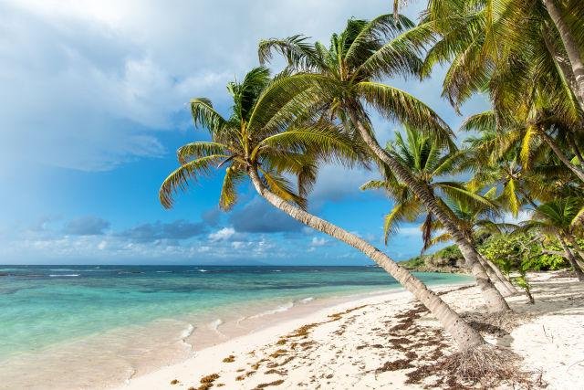 Is Guadeloupe Expensive to Visit – A Complete Guide