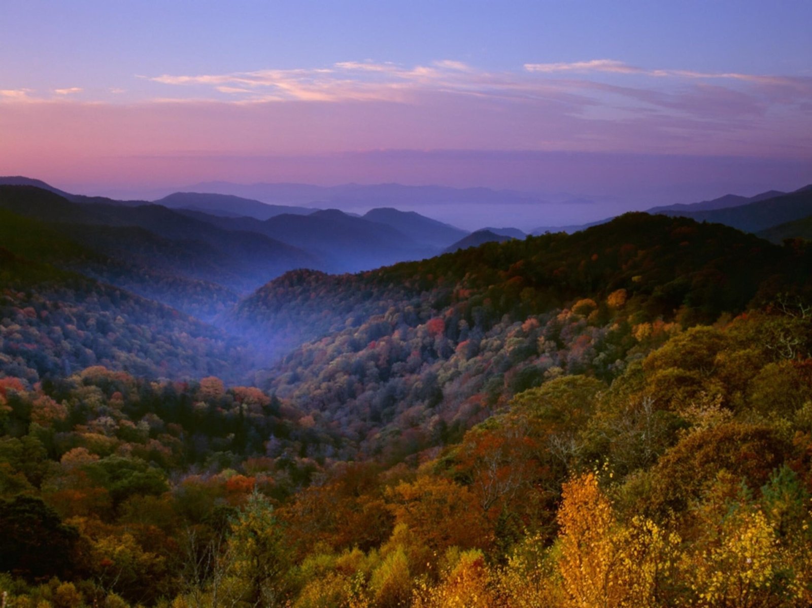 Top Destinations in Great Smoky Mountains – Must-Visits