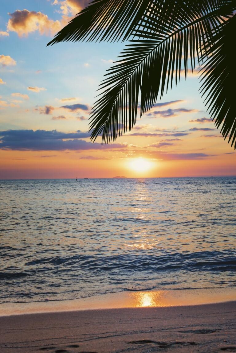 Beach Escapes – Top Picks