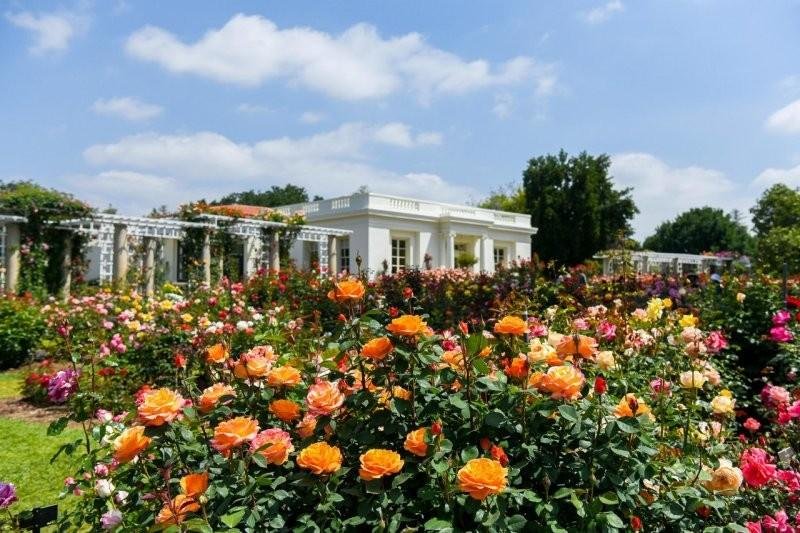 The beauty of the Huntington Library, Art Collections, and Botanical Gardens