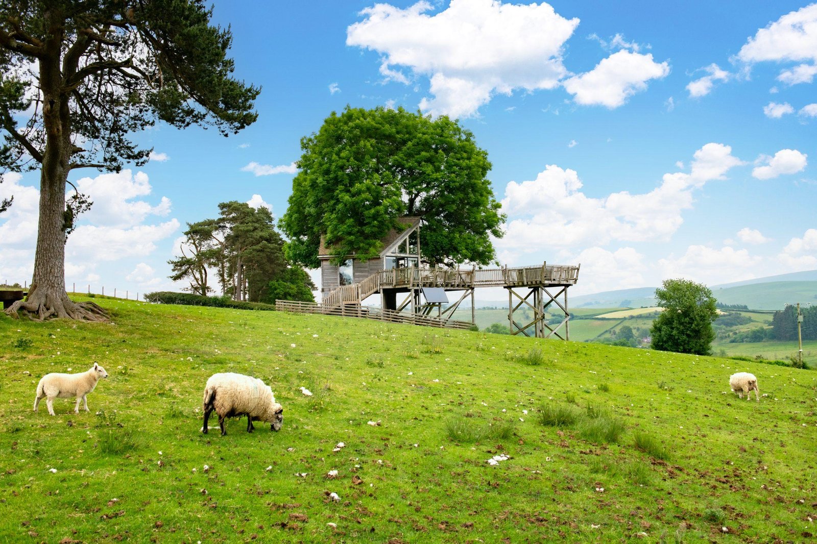 Exploring Charming Getaways Beyond Dallas: Discover Nearby Gems