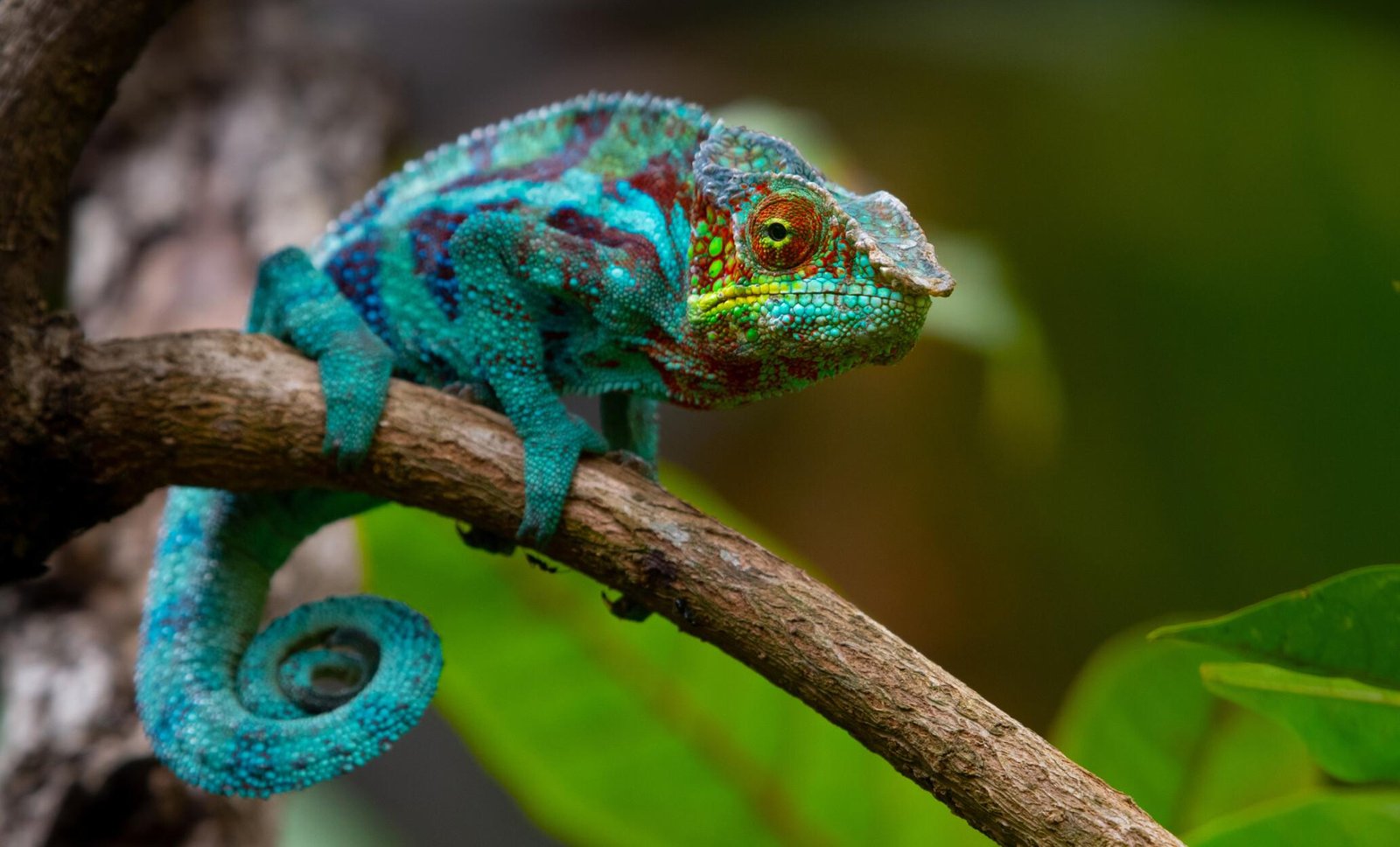 Heading⁢ 1: ‍Exciting Encounters with Exotic Animals at the Zoo