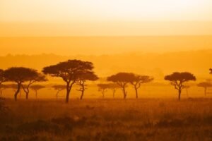 Discovering Unique Places to Visit in Kenya: A Traveler’s Guide