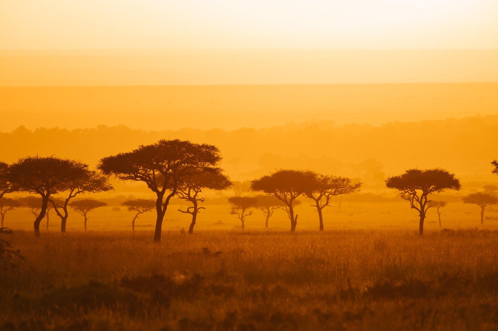 Discovering Unique Places to Visit in Kenya: A Traveler’s Guide