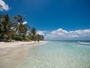 Best Places to Visit in Puerto Rico – Must-See Attractions