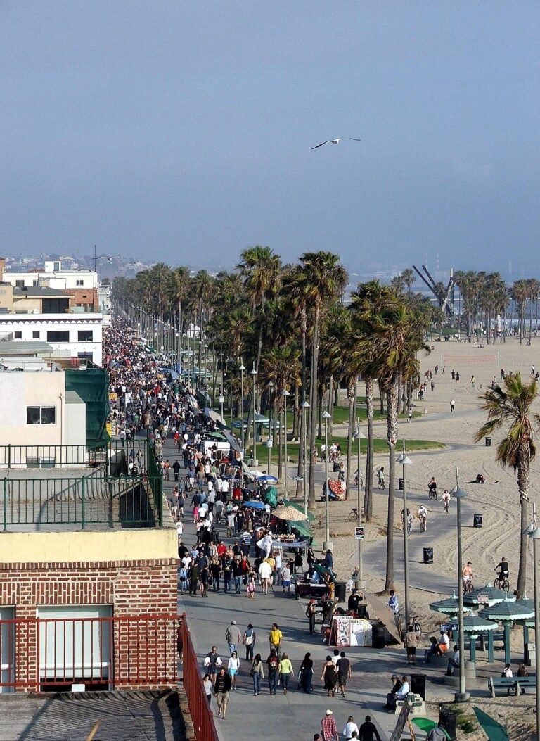 Best day to visit venice beach – make the most of your visit
