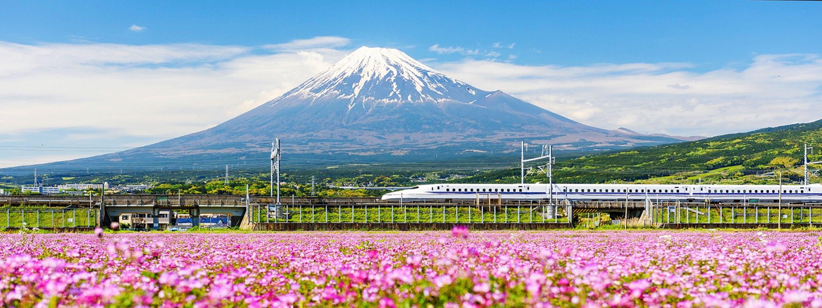 Essential⁤ Cultural Insights: Books That ⁢Illuminate Japan’s Rich Heritage