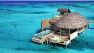 Best Time to Visit Maldives for Snorkeling – Ideal Months