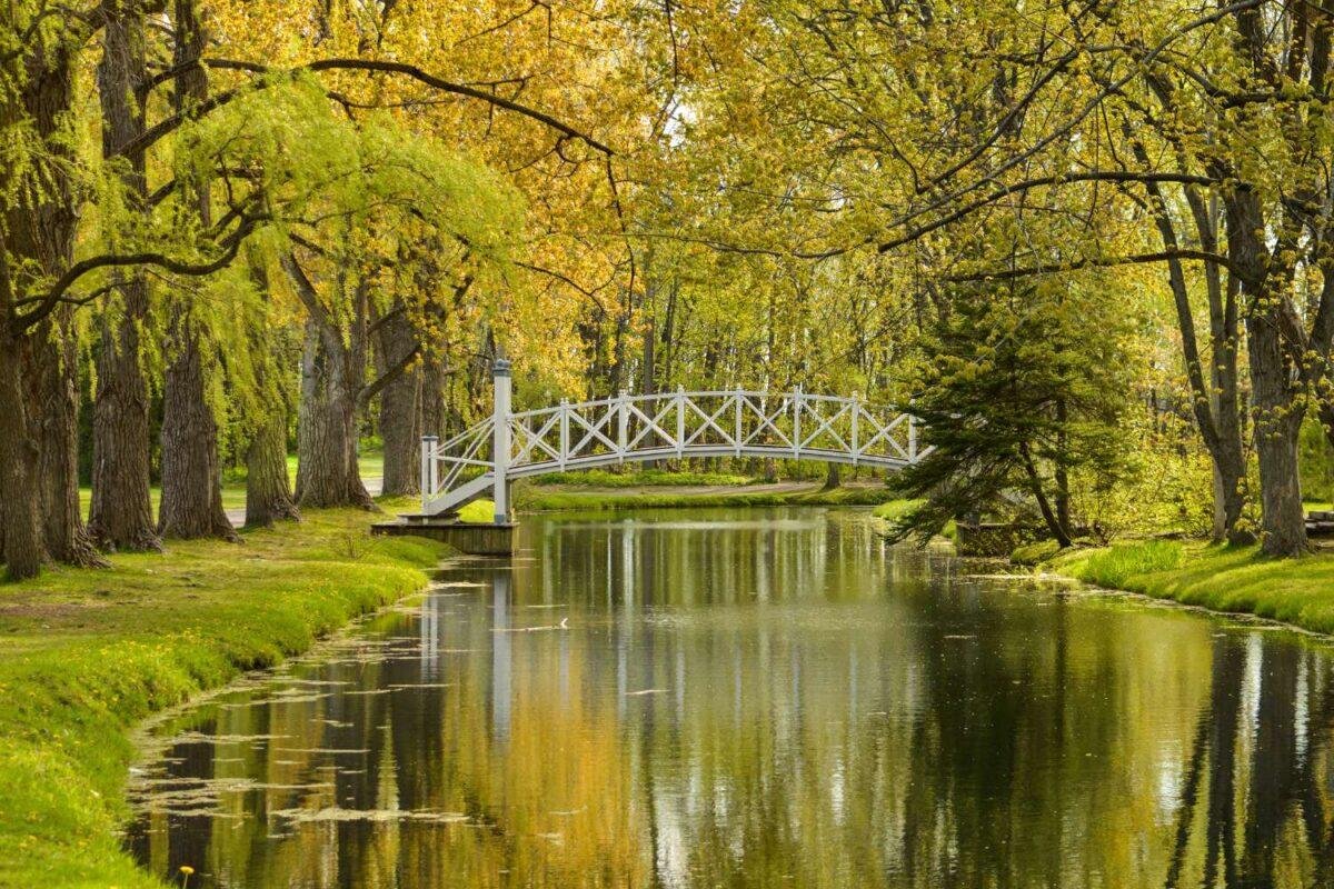 Parks to visit in austin – natural treasures