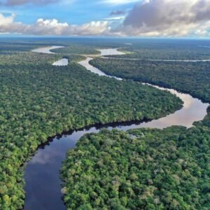 Best Time to Visit Amazon in Peru – Expert Advice