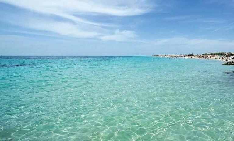 Best Time to Visit Salento Colombia – Ideal Seasons