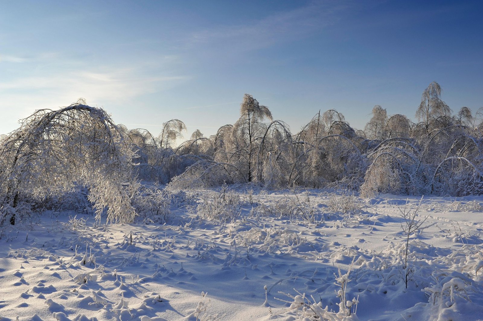 Winter wonders: top places to explore in Oregon this season