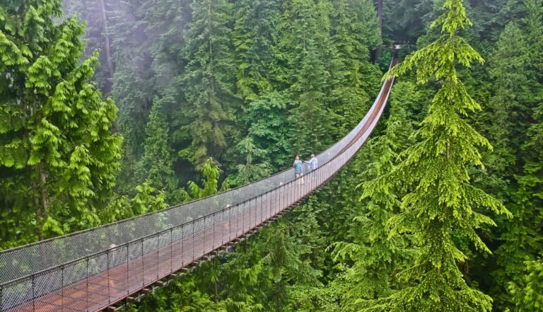 Top Areas to Visit in Vancouver – Must-See Spots