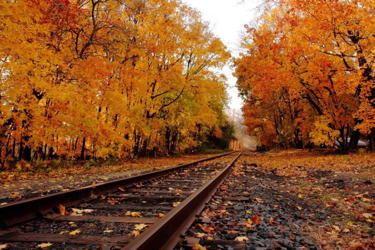 Discover New Jersey’s Best Fall Destinations for Everyone