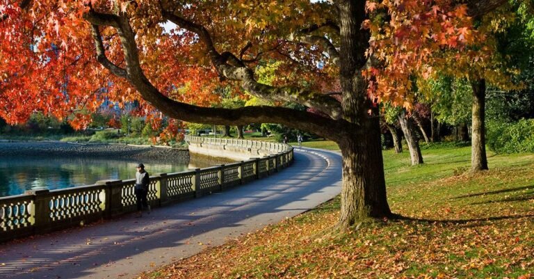 Best vancouver parks to visit – enjoy nature