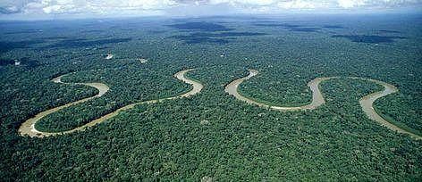 Ideal Season⁣ to Experience the Amazon Rainforest in Manaus