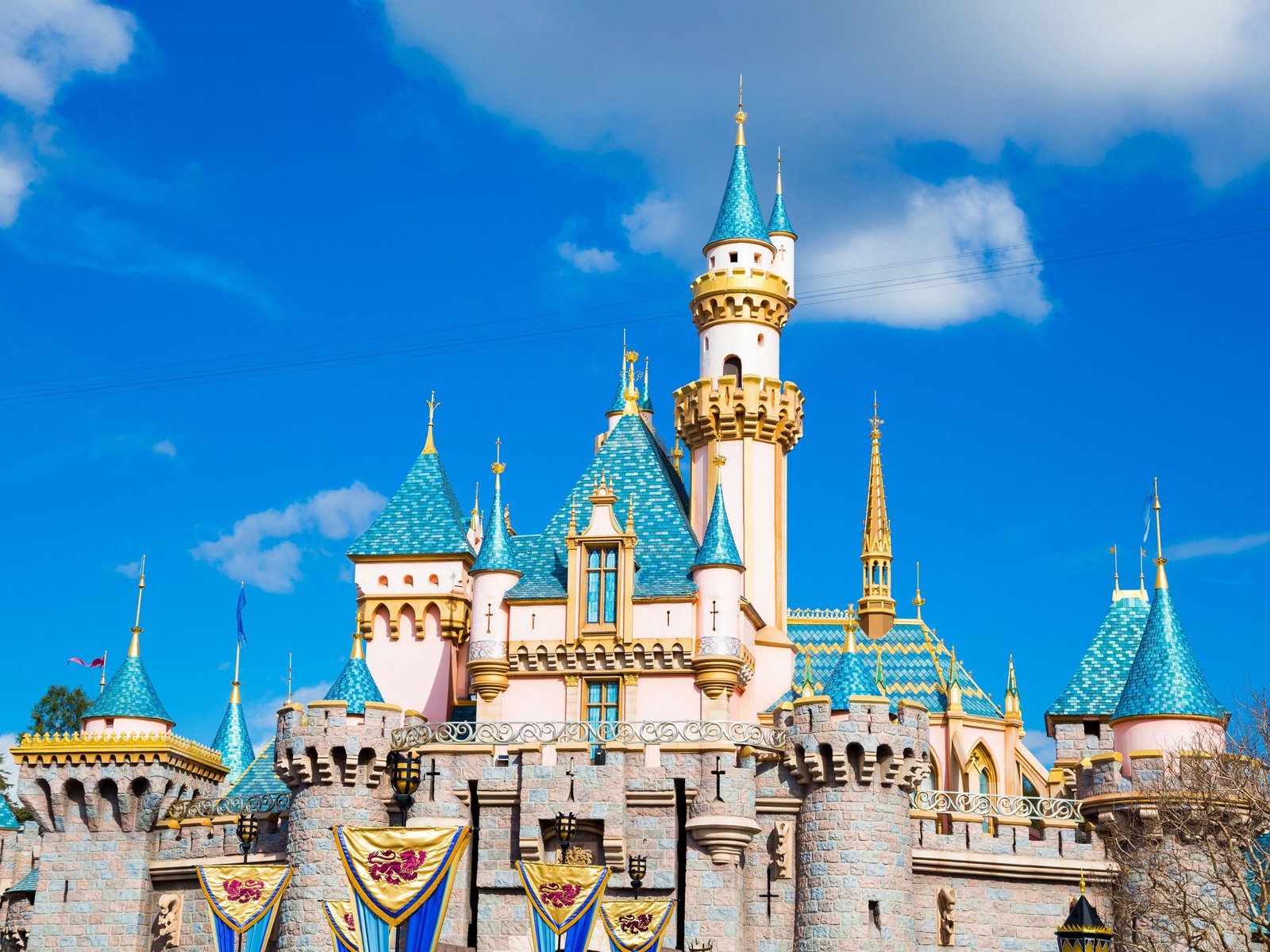 Must-See Attractions at ‍Disneyland California