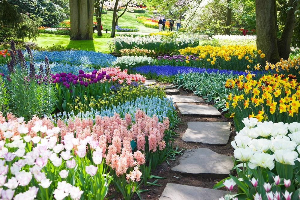 Lush⁤ Botanical paradise: Exploring the Tranquil Gardens⁤ of [Location]