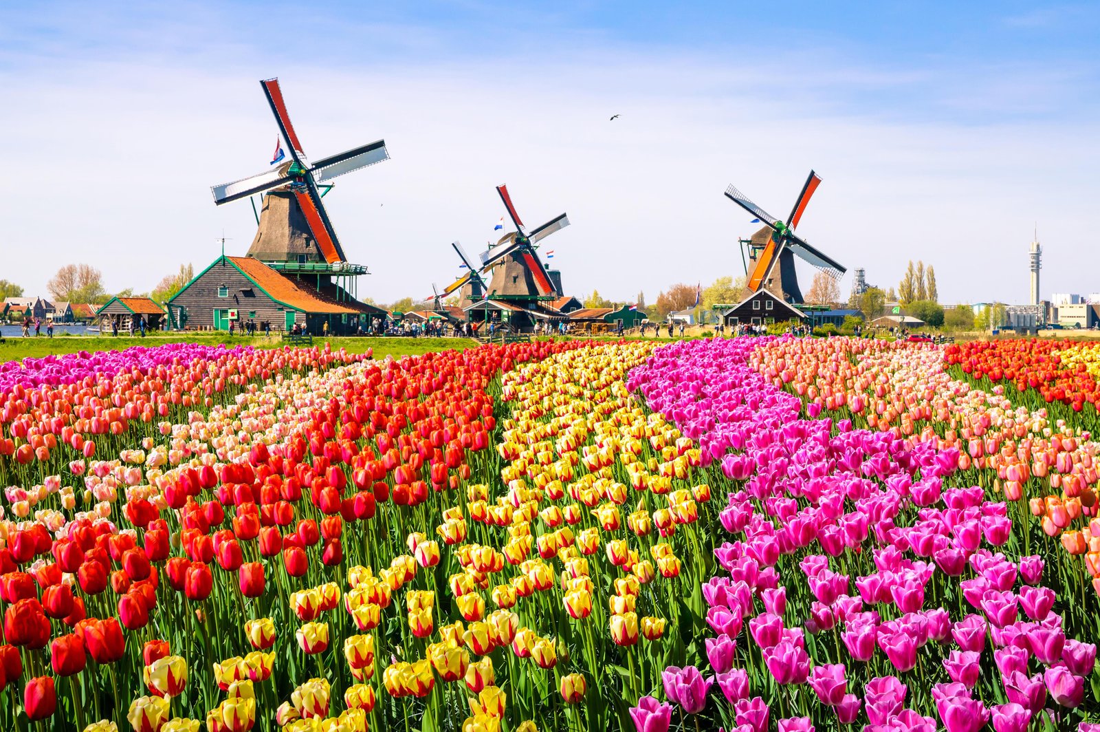 Heading 1: Ultimate Guide to exploring Keukenhof Gardens from Amsterdam